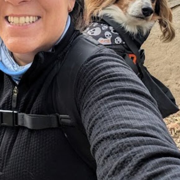 Maxine One SMALL Dog Carrier by Little Chonk - Black - Picture 2 of 4